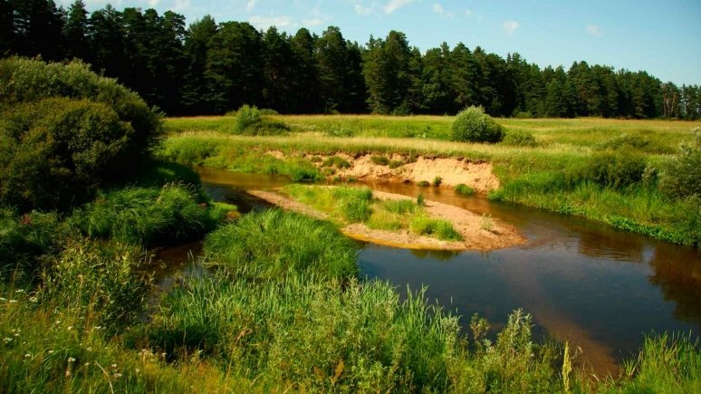 река луга фото