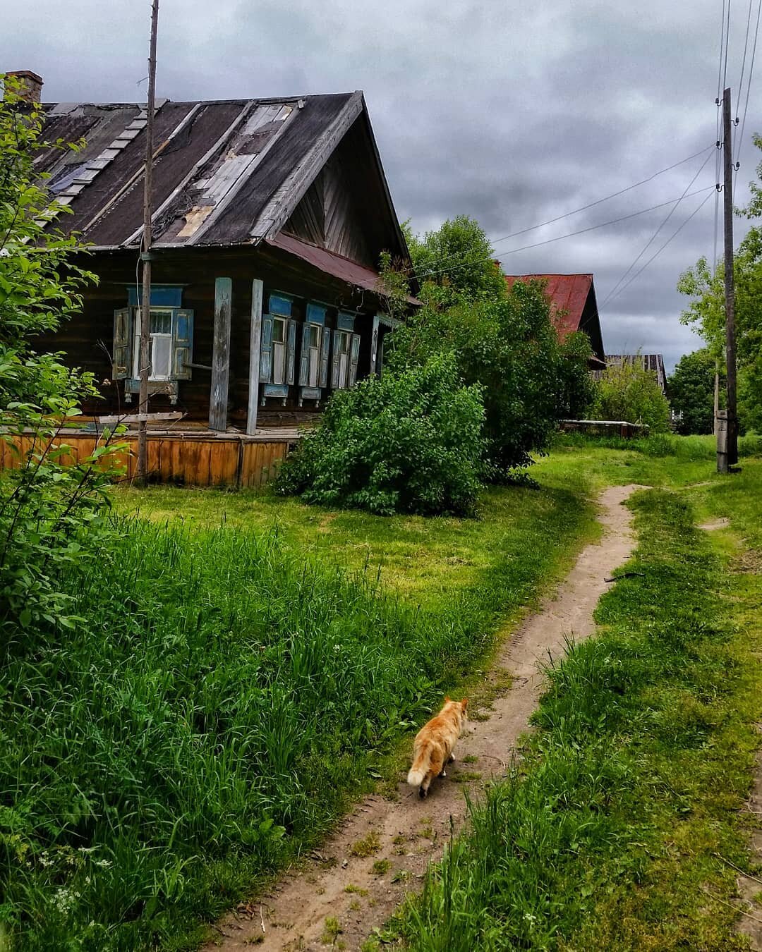 родной дом в деревне картинка фото
