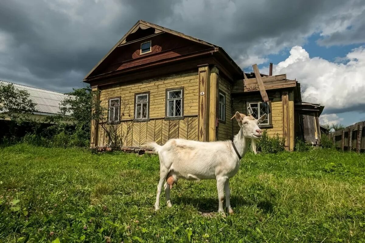 русская деревня фото