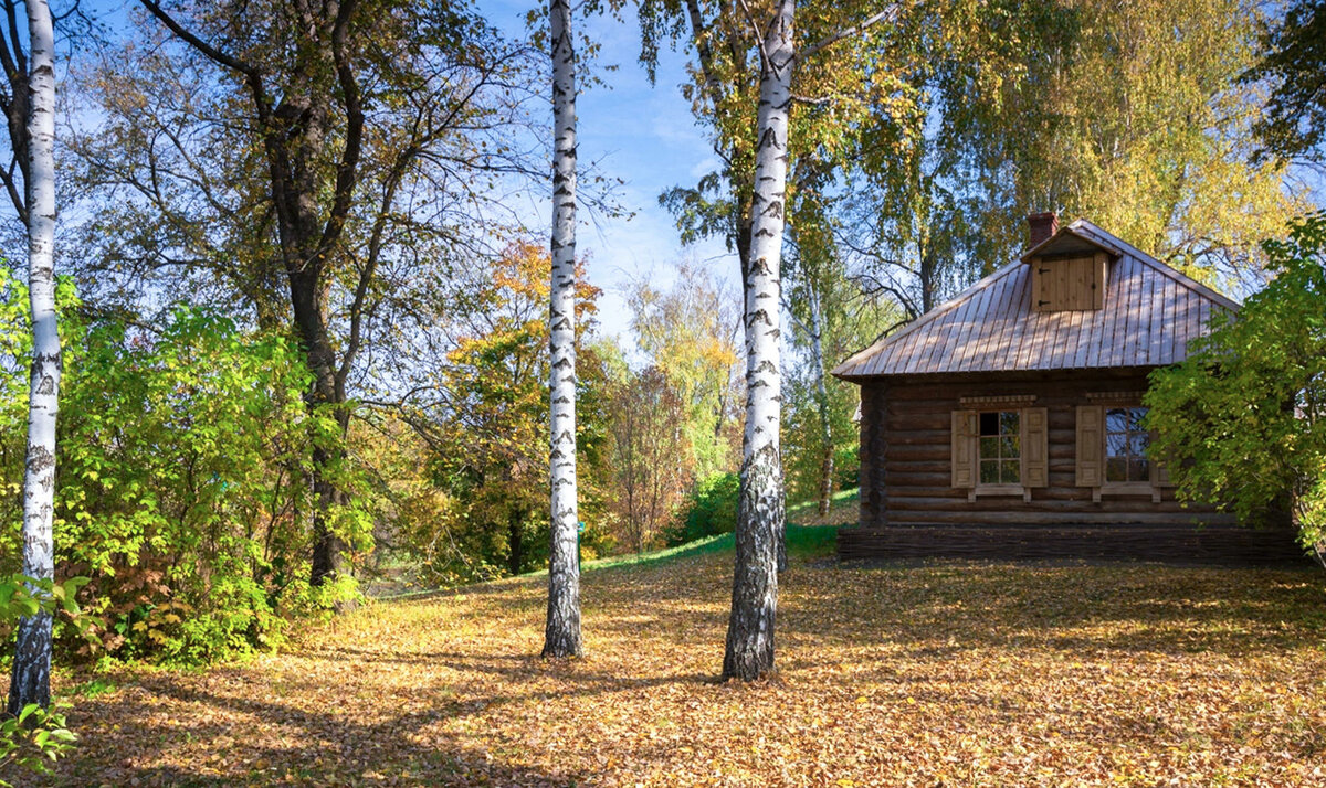 русская изба на опушке фото