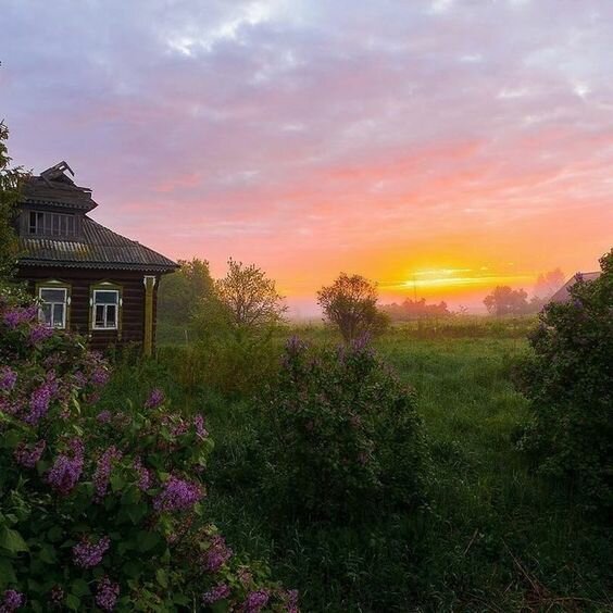 русское деревня на рассвете фото