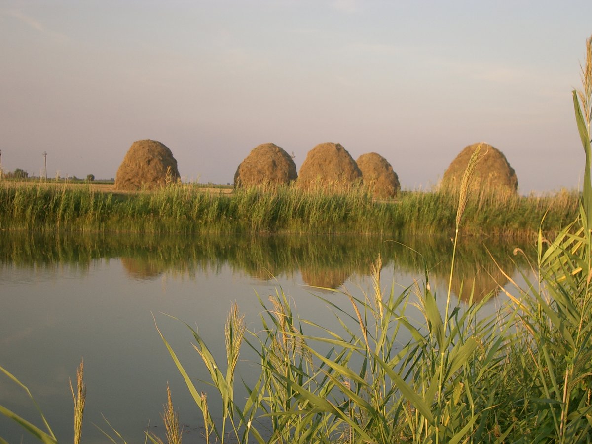 салбыкский курган хакасия фото