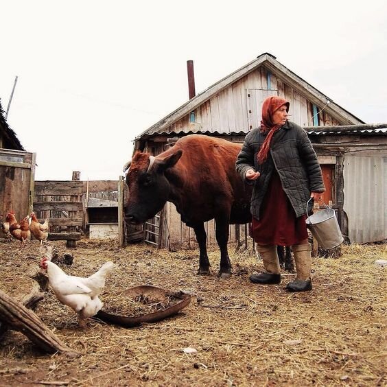 сельская жизнь фото