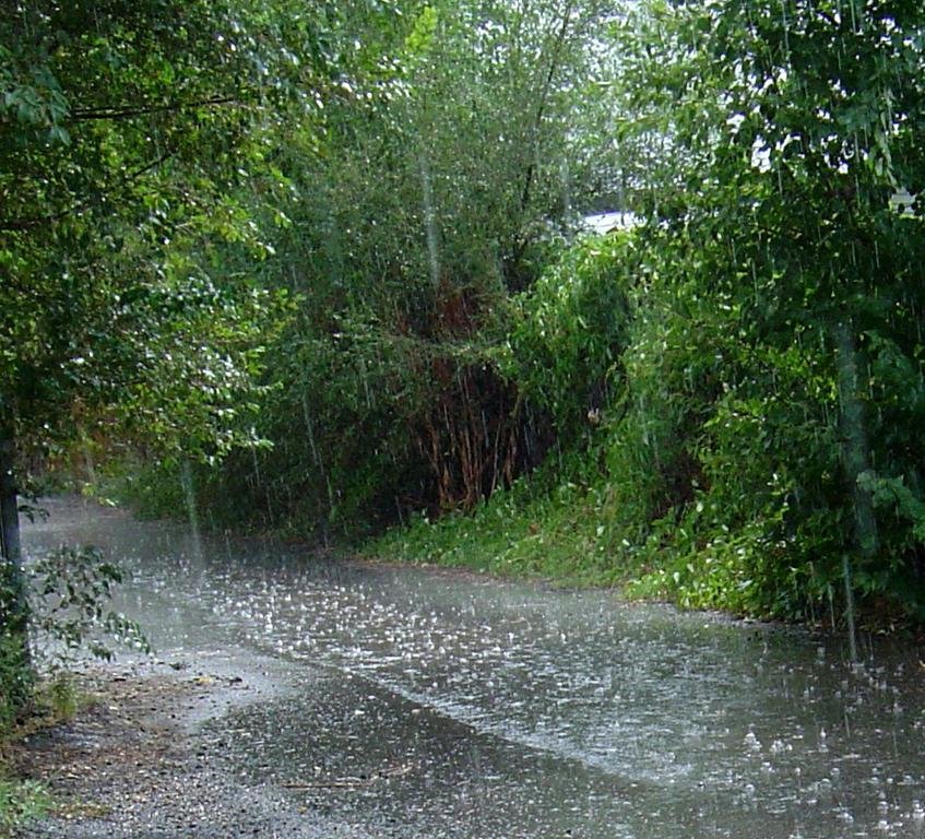 сильный летний дождь картинки фото