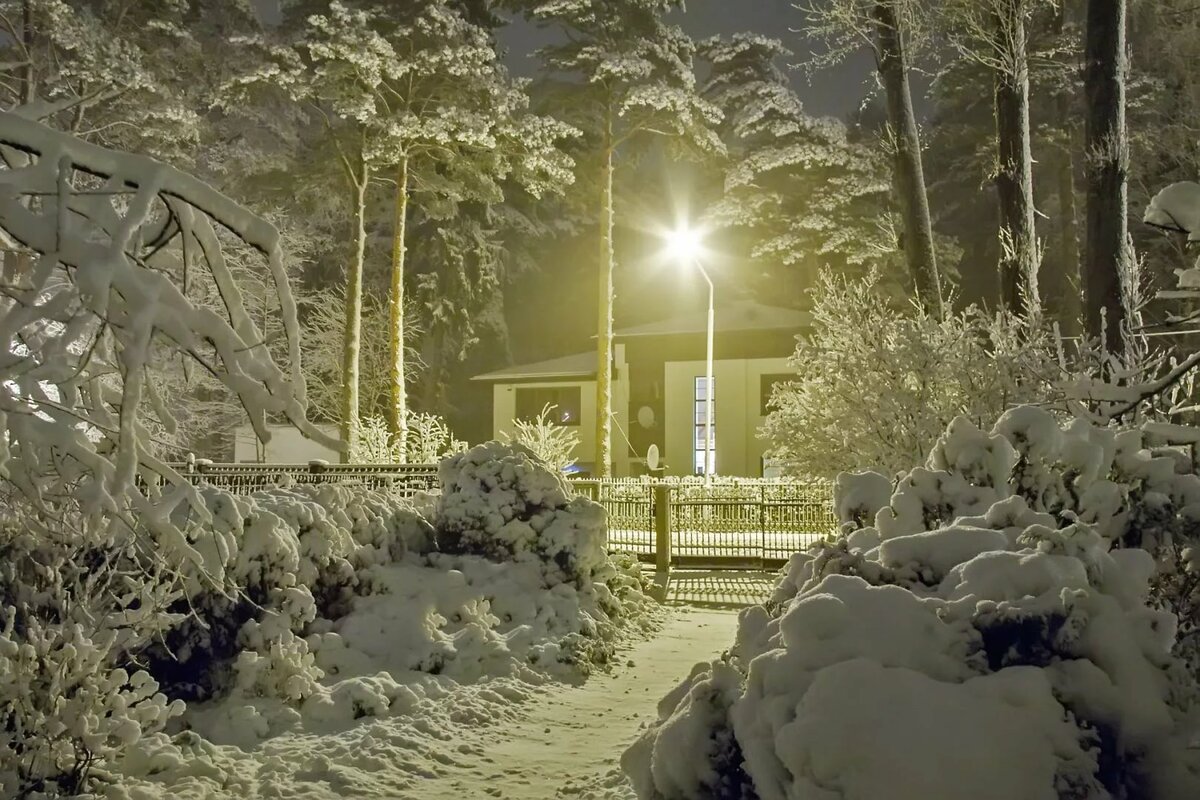 сказочные зимние фото