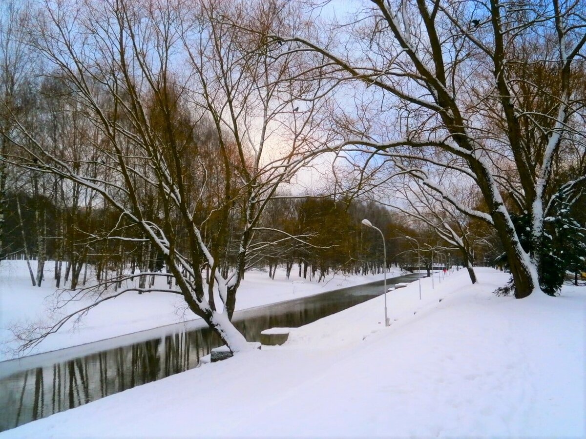 сходня зимой фото