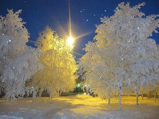 снег блестит зимний день картинки фото