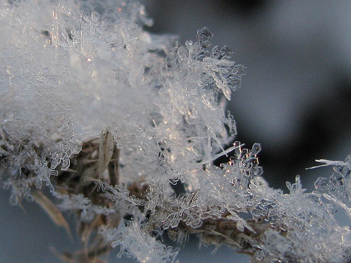 снег снежинки фото