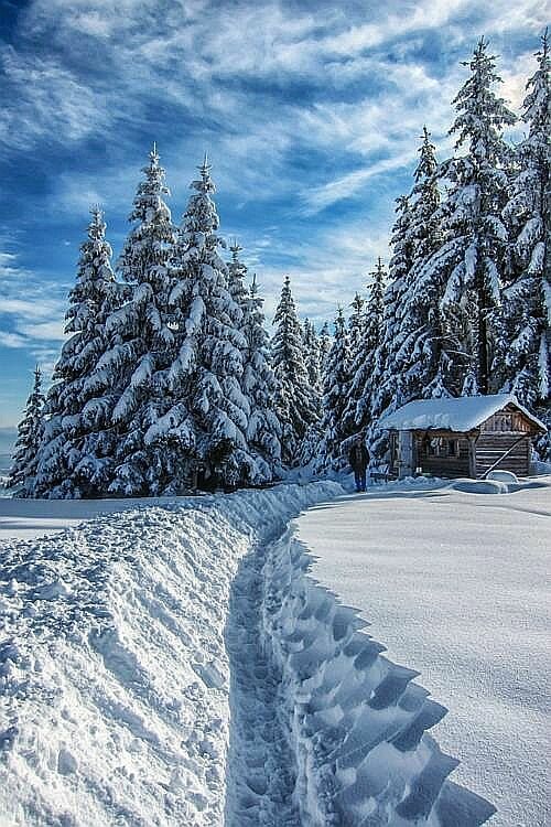 снежная зима картинки красивые фото