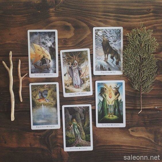 таро дикого леса (wildwood tarot фото