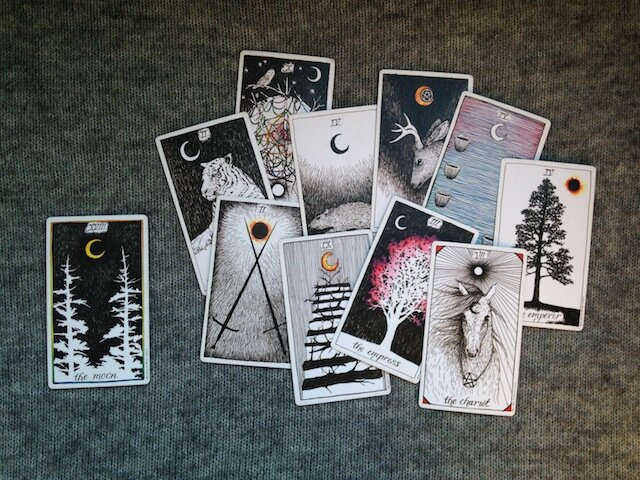 the wild unknown tarot. дикое неизвестное таро фото