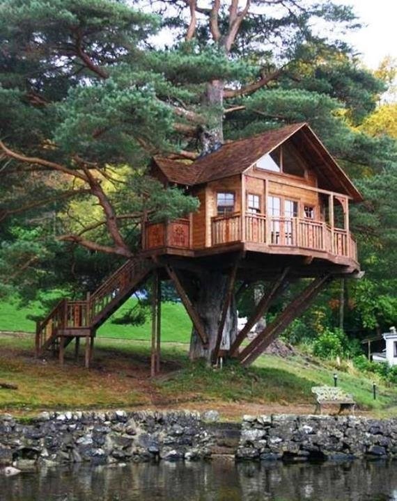 tree houses фото