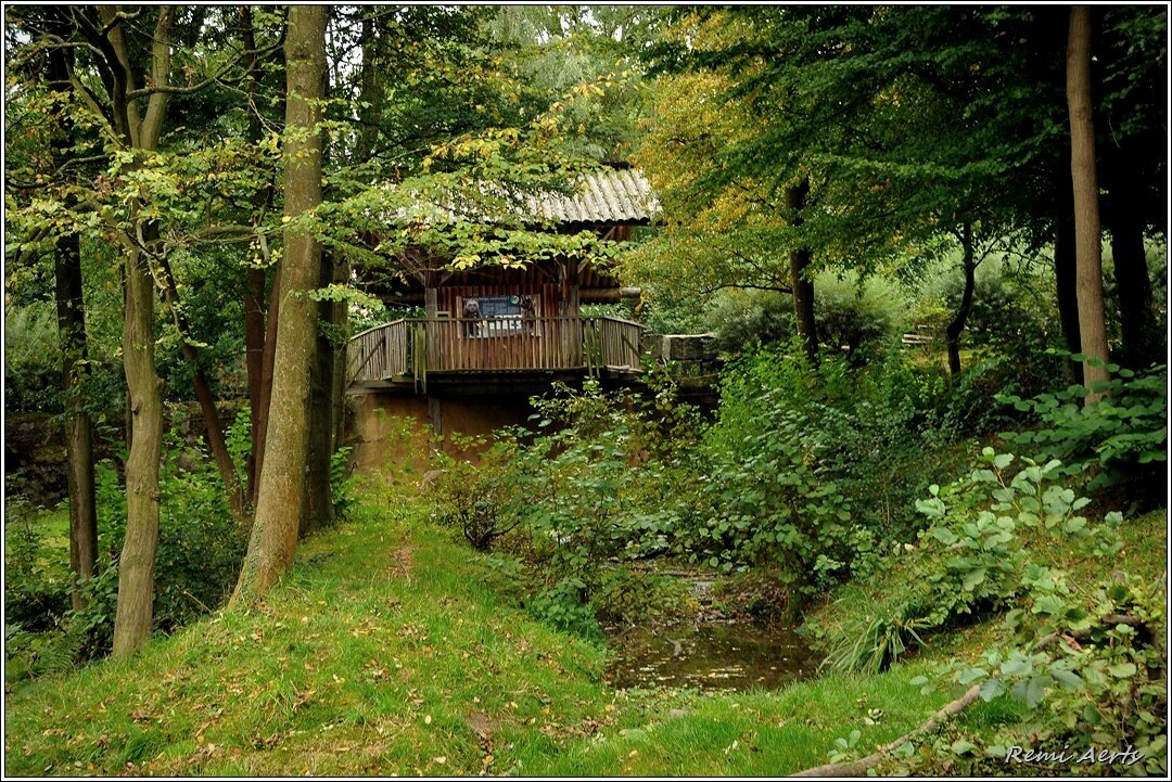 treehouse, крошечный лесной коттедж фото