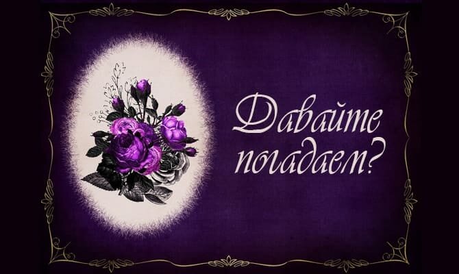 Цветы фото