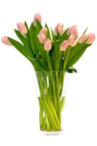 тюльпаны букет фото