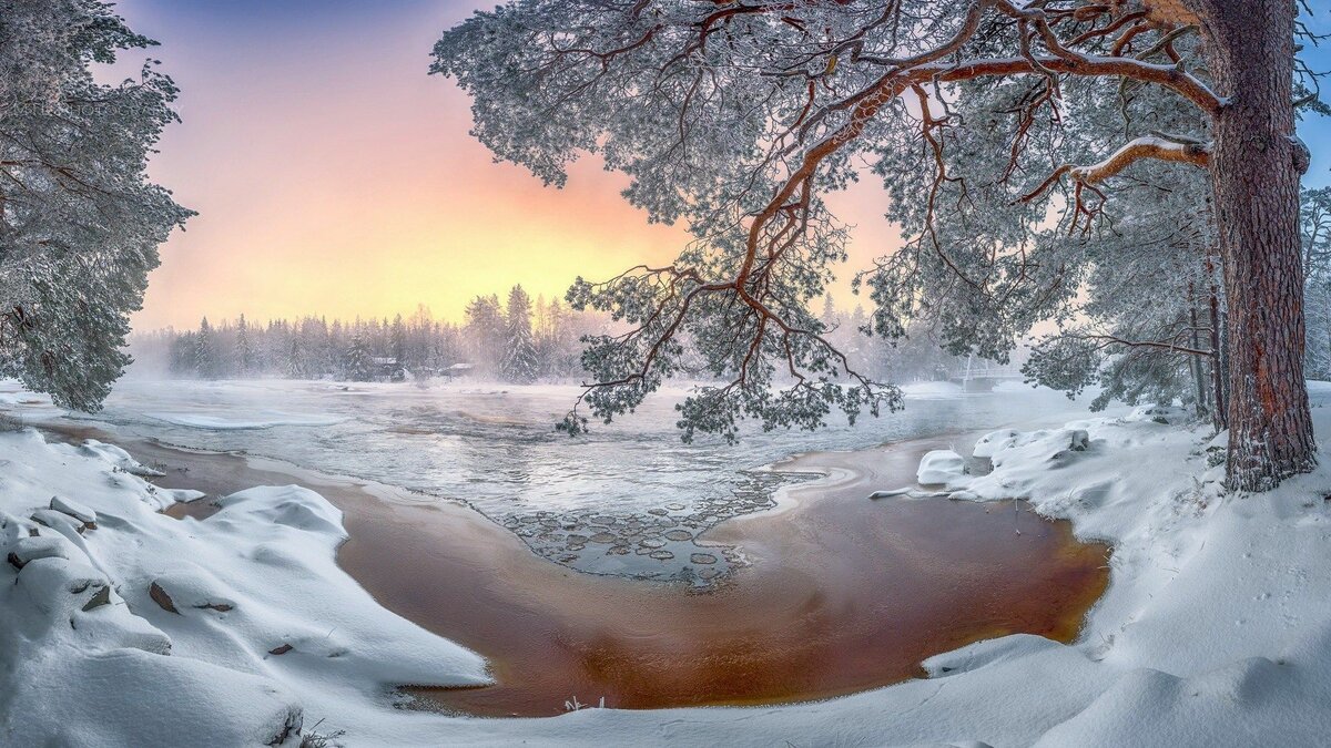 у реки зима пейзаж фото