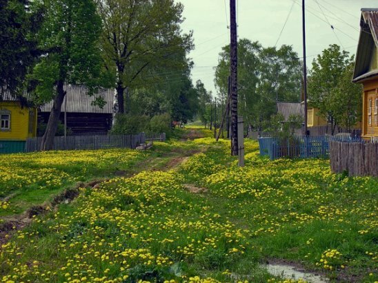 участок фото