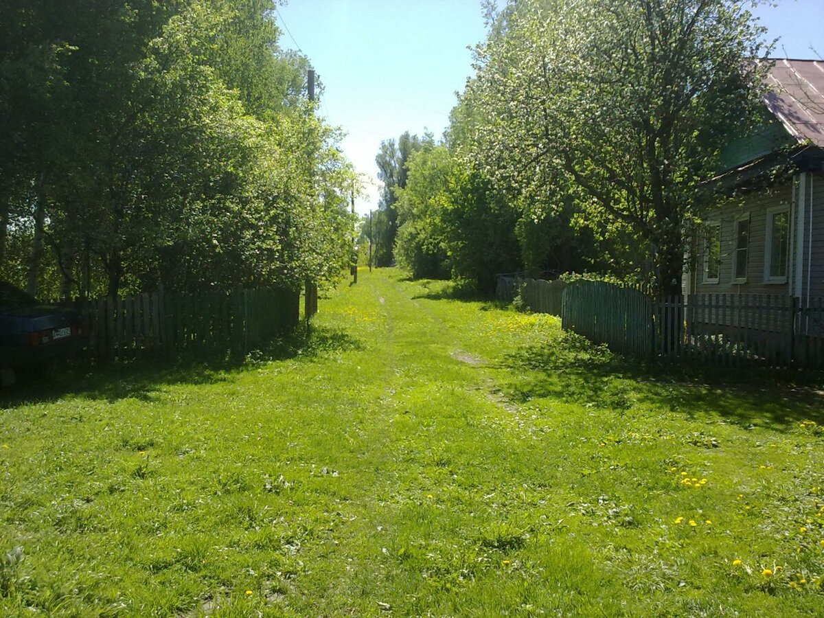 участок 6 соток снт строитель воскресенск фото