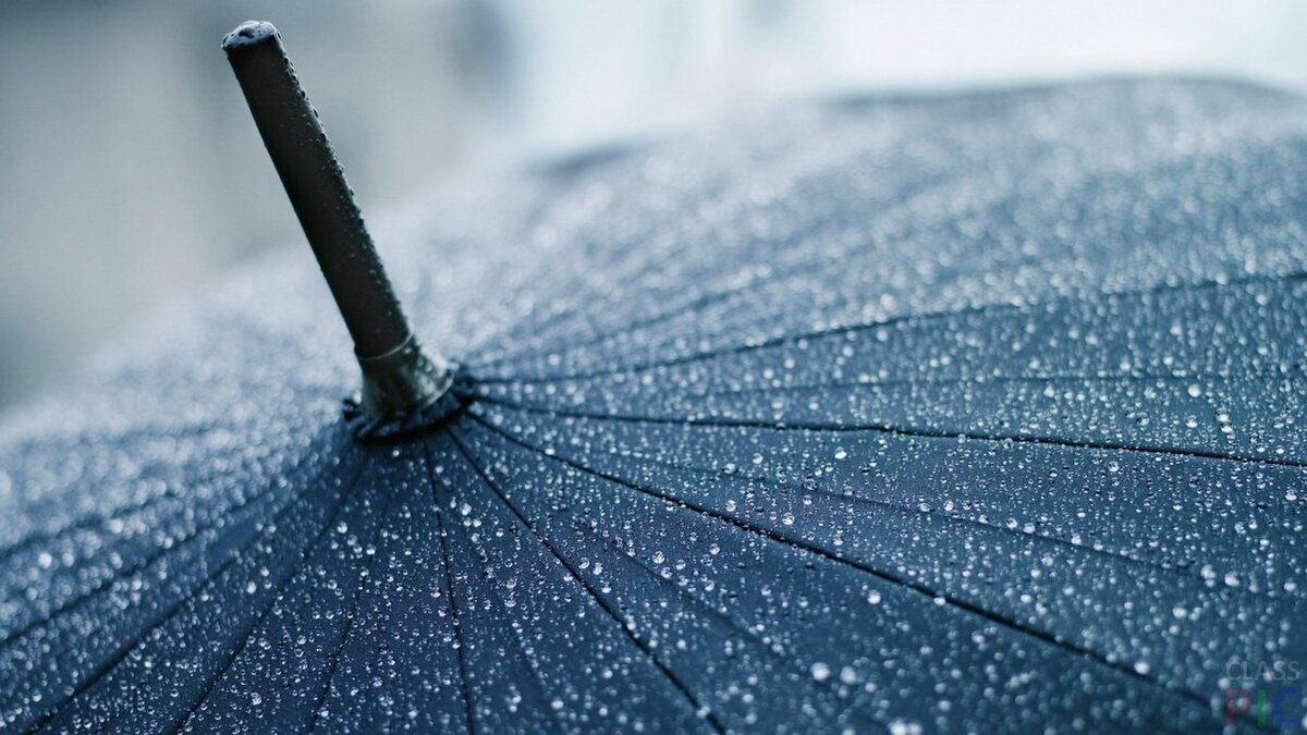 umbrella rain фото