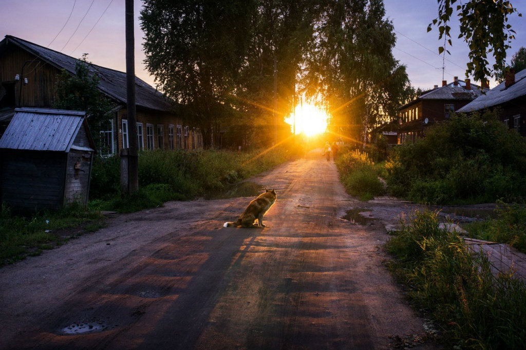 утро в деревне картинки фото