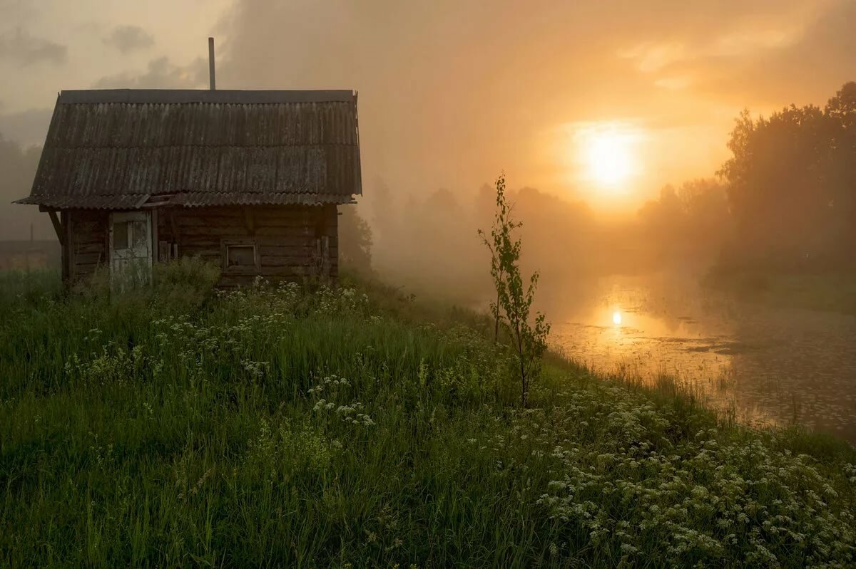 утро в деревне картинки фото