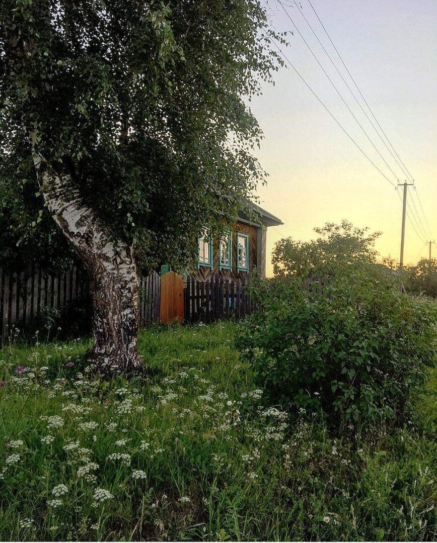 в деревне фото