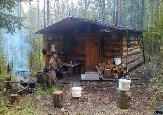 в лесу избы для охотников фото