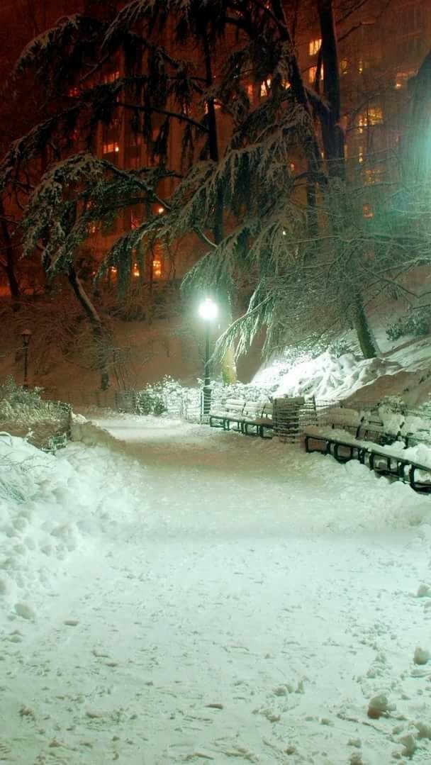 вертикальные картинки зимний вечер фото