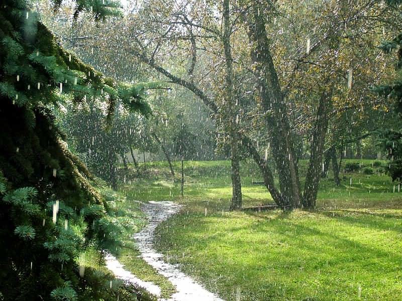 весенний дождь d ktce картинки фото
