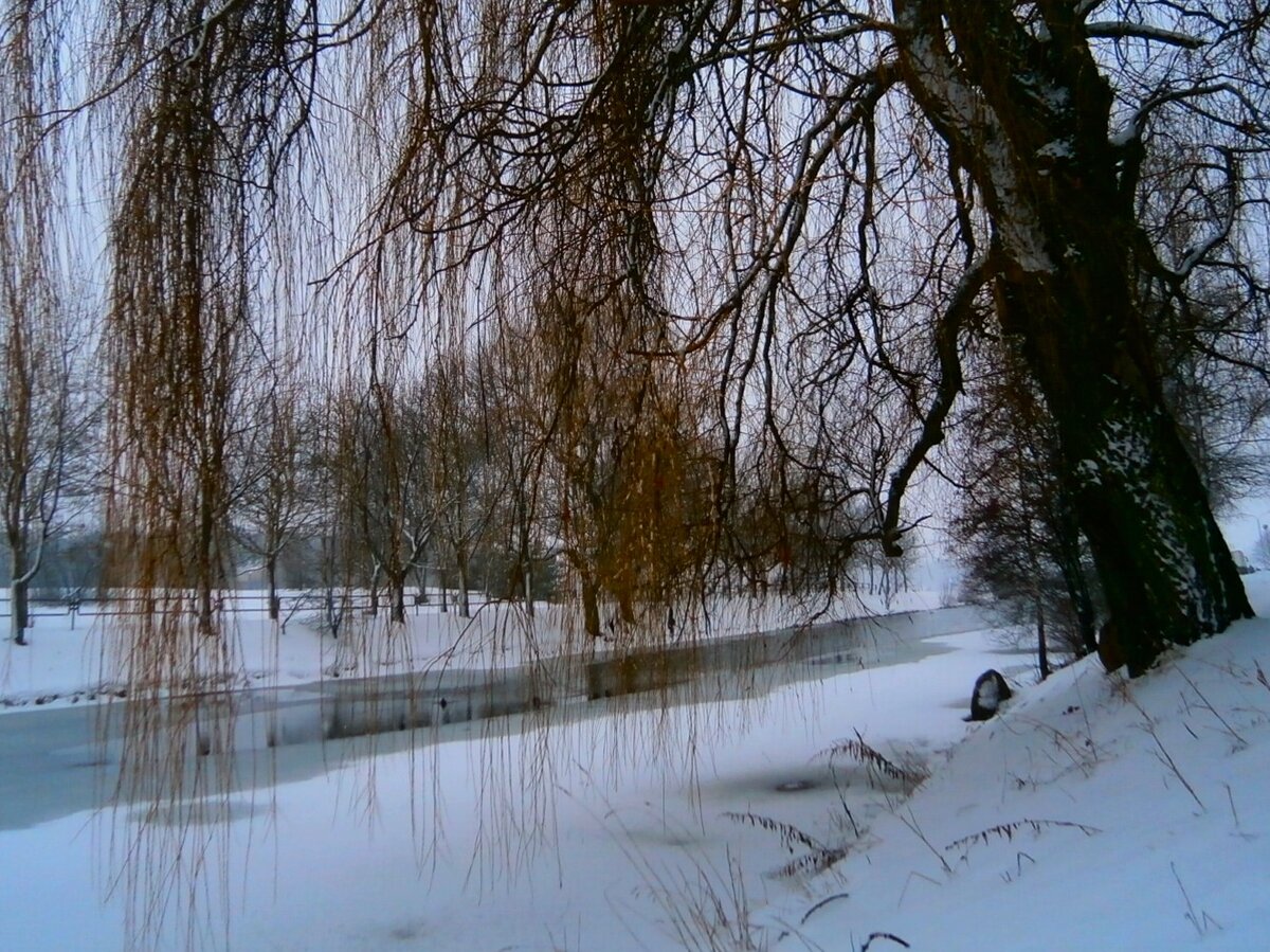 весна апрель фото