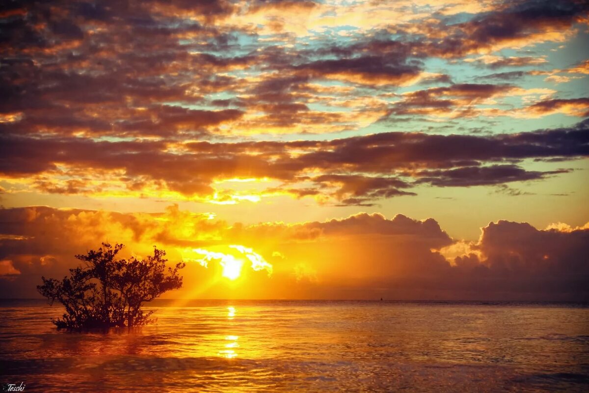 wallpaper sunset sunrise at sea фото