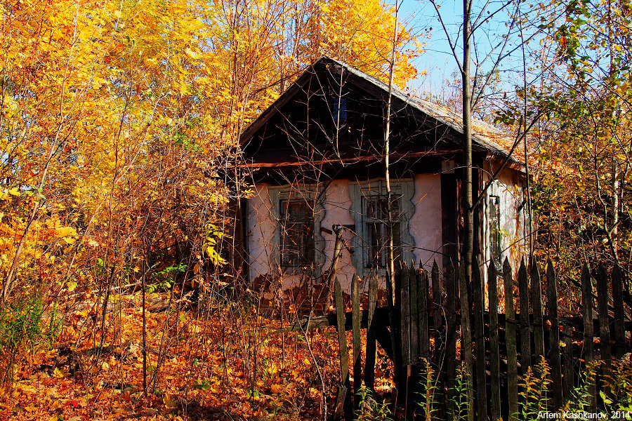 заброшенный дом в деревне фото