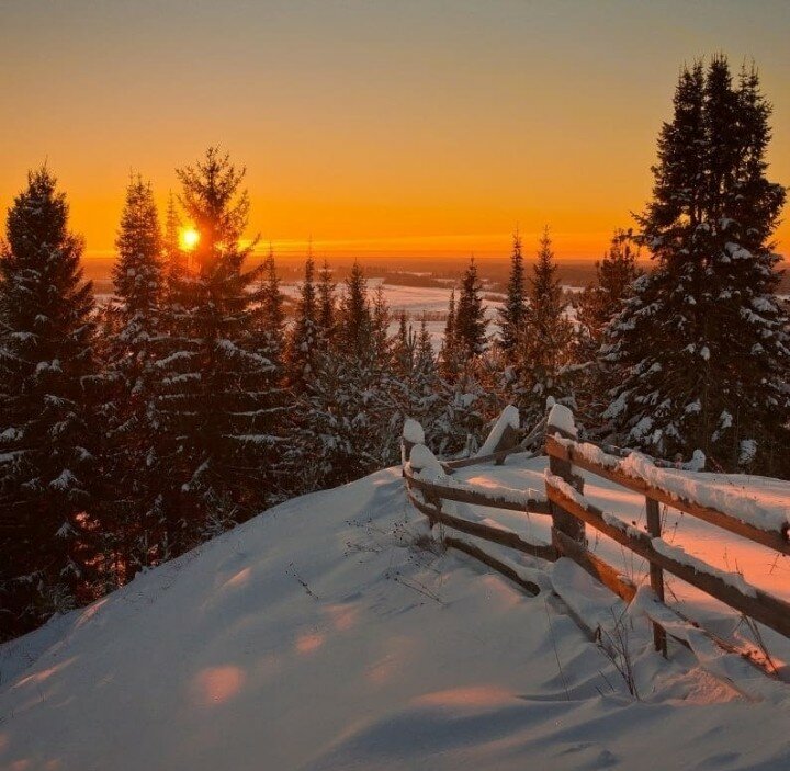 закат в зимнем лесу фото