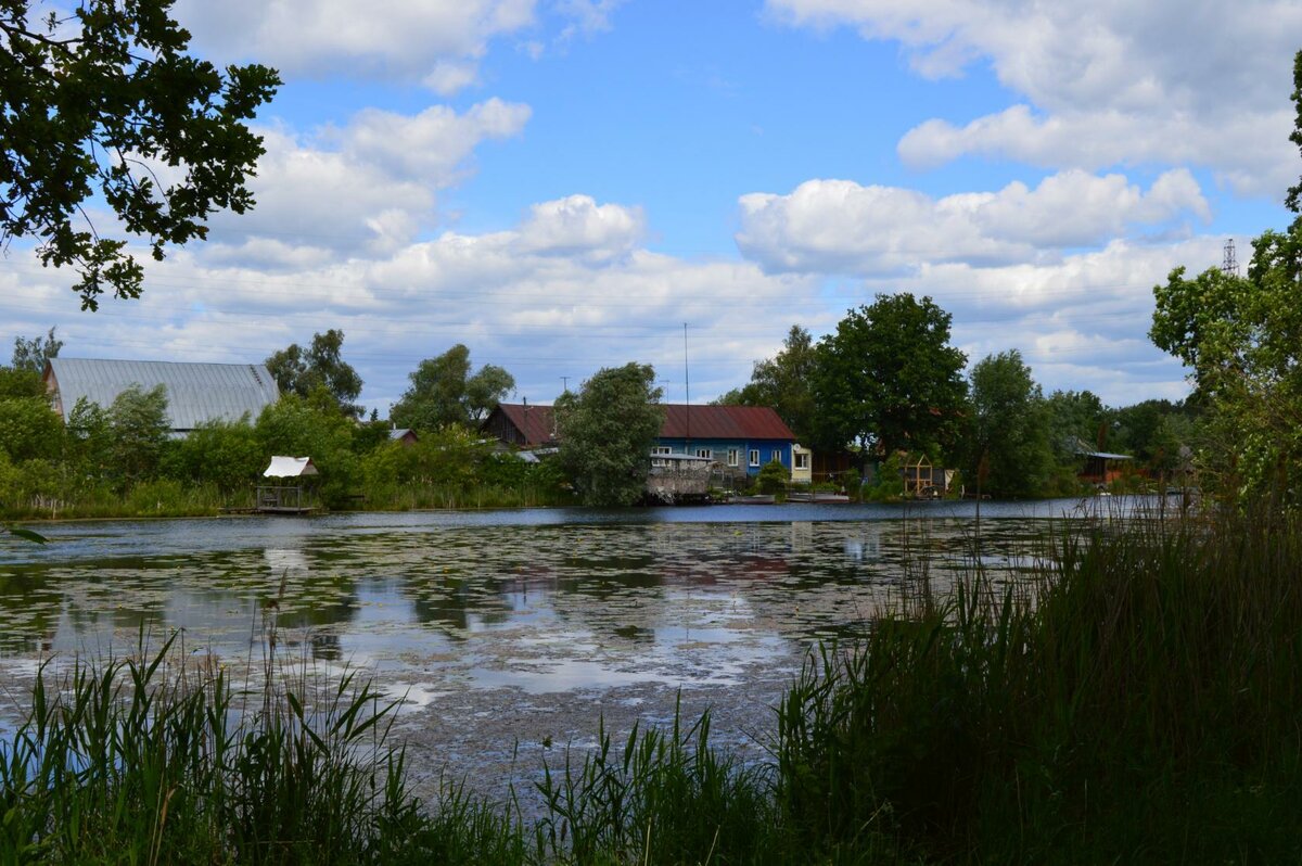 заплавье селигер фото