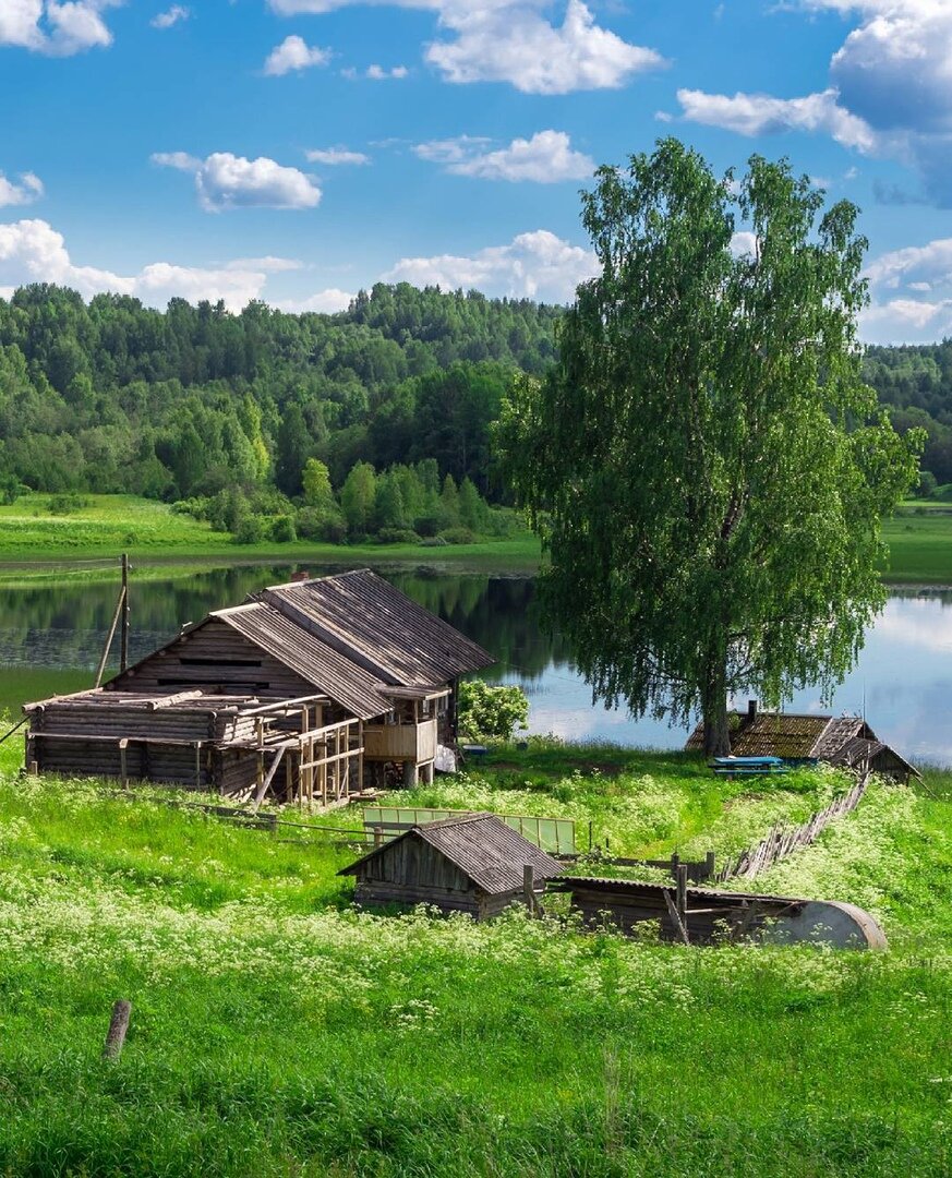 зехново кенозерье фото