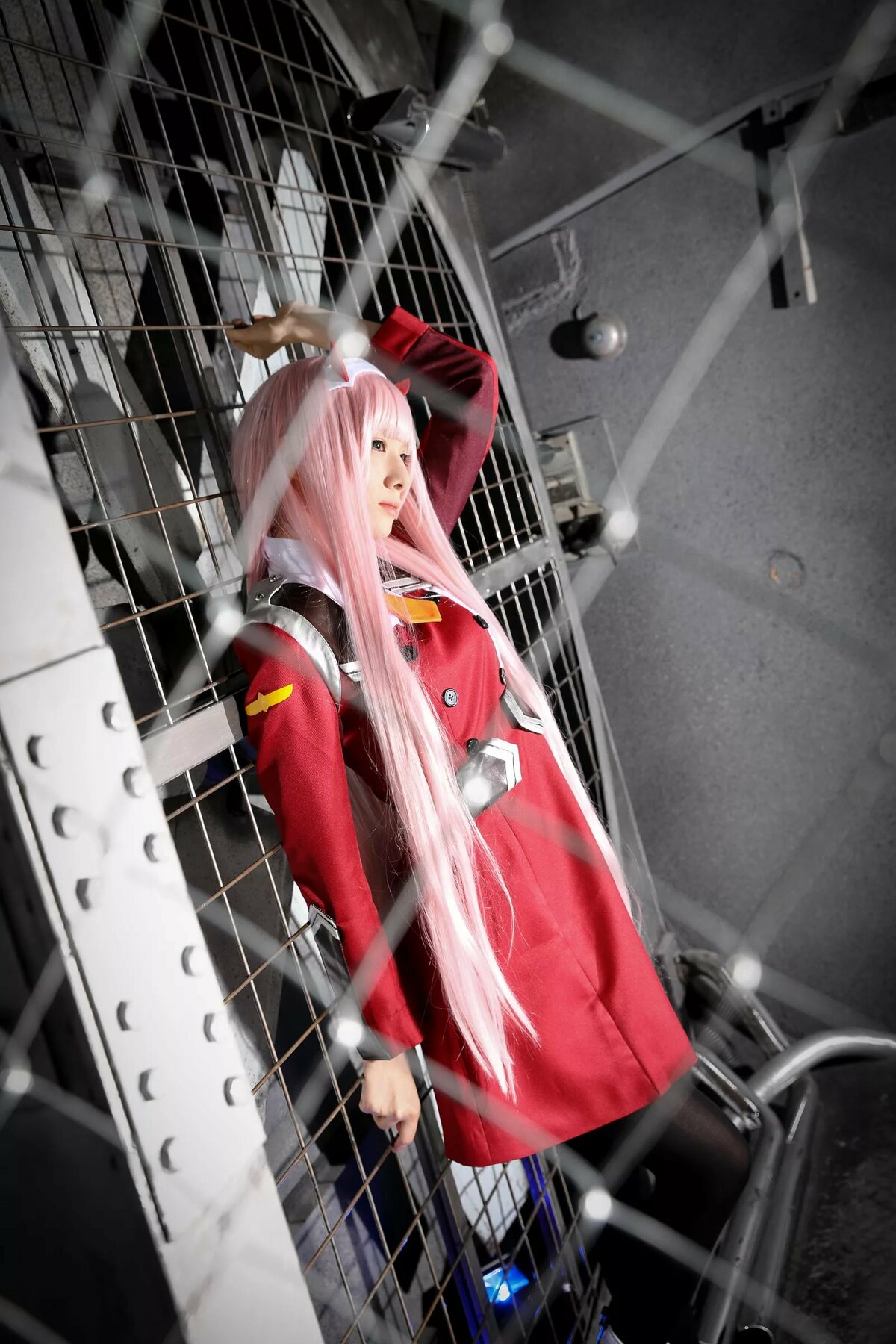 zero two cosplay фото