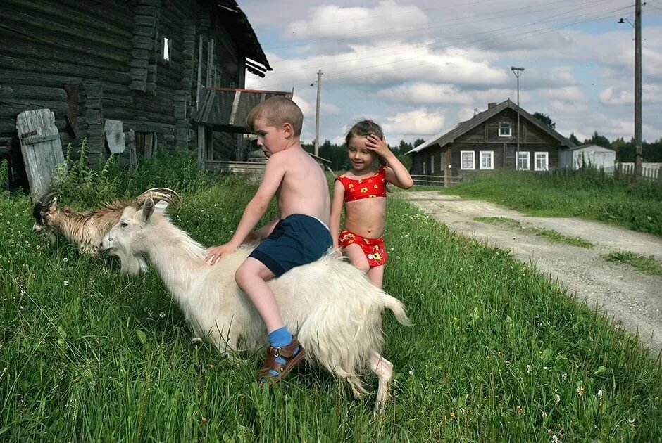 жизнь в деревне картинки фото