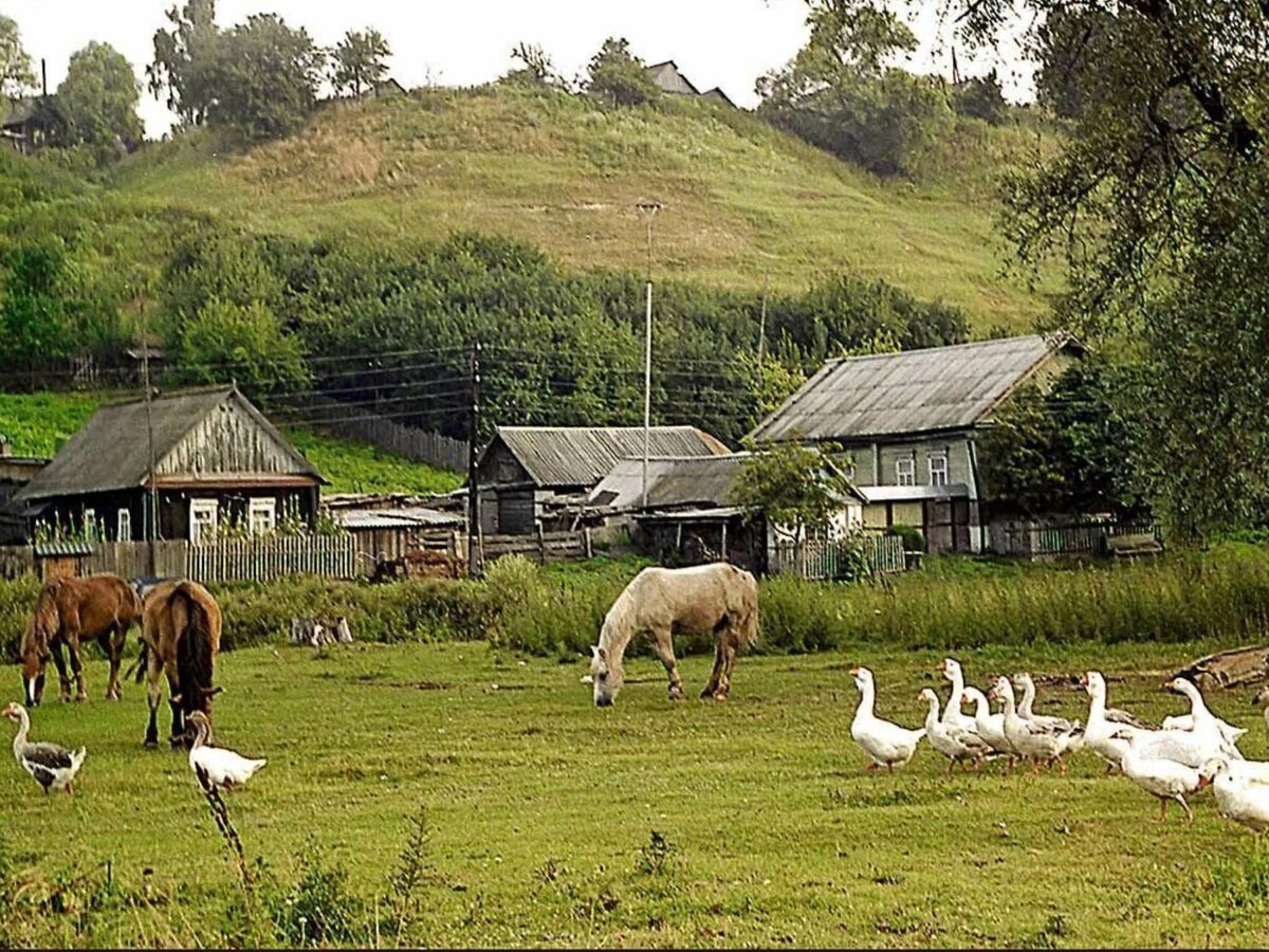 жизнь в деревне картинки фото