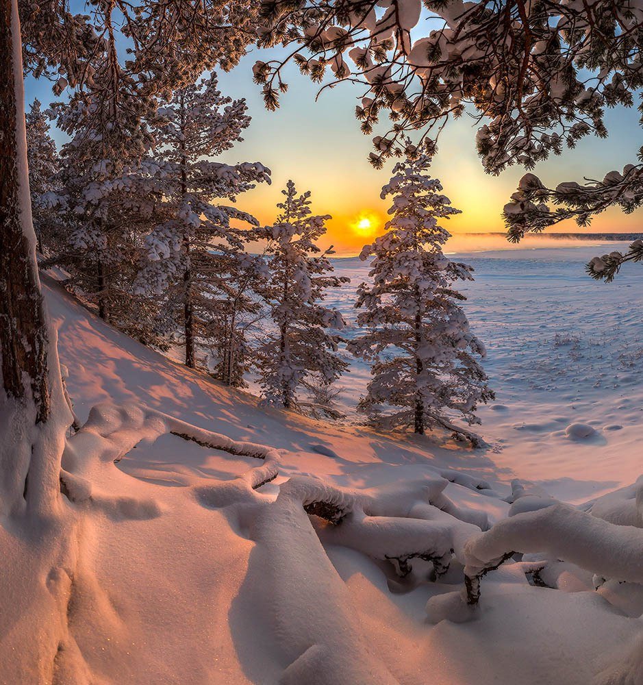 зима фото красивые природа фото