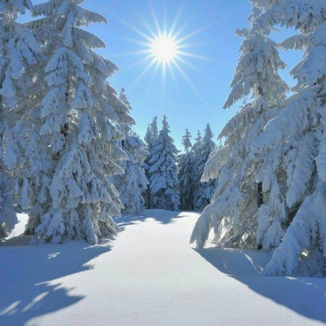 зима картинки фото