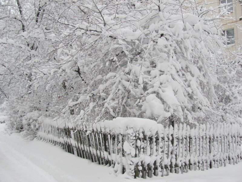 зима снег фото