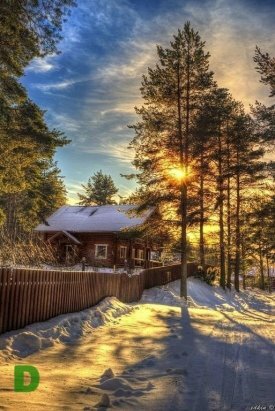 зима солнце снег деревня фото