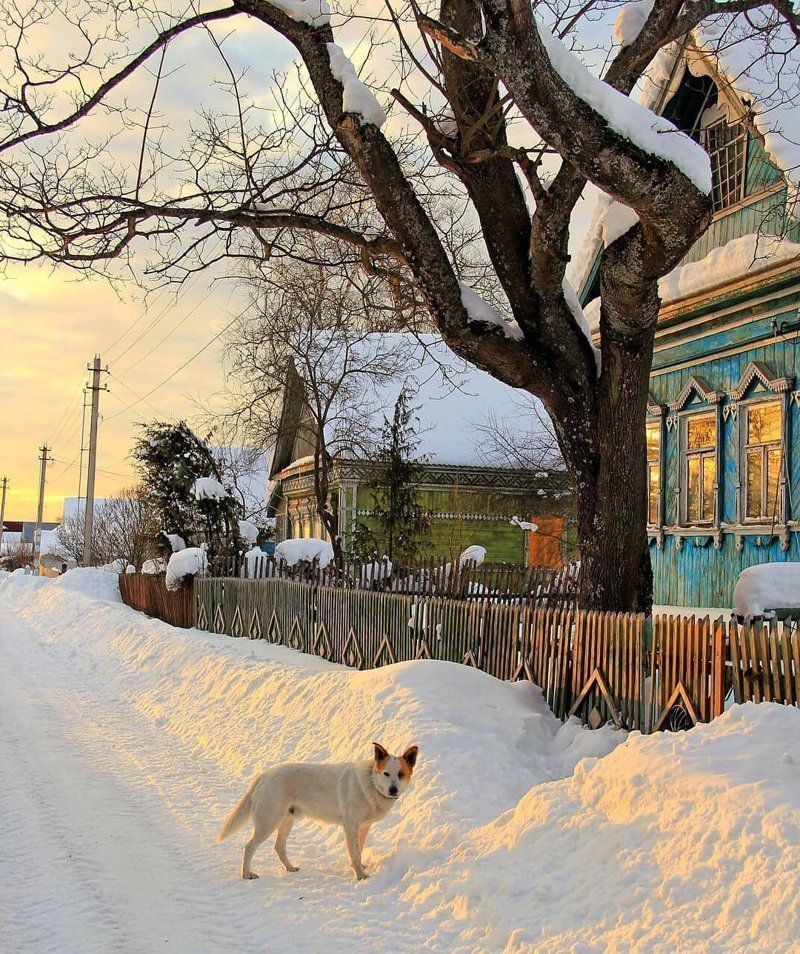 зима в деревне фото
