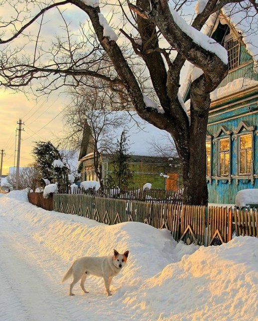 зима в деревне фото