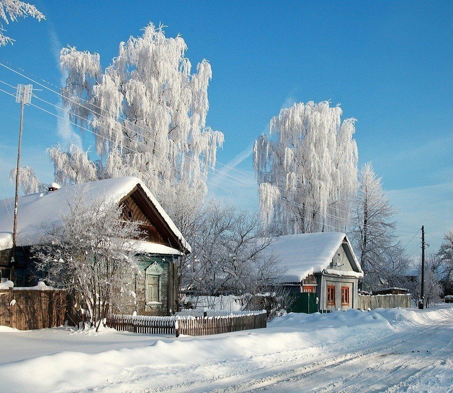 зима в деревне фото красивые фото