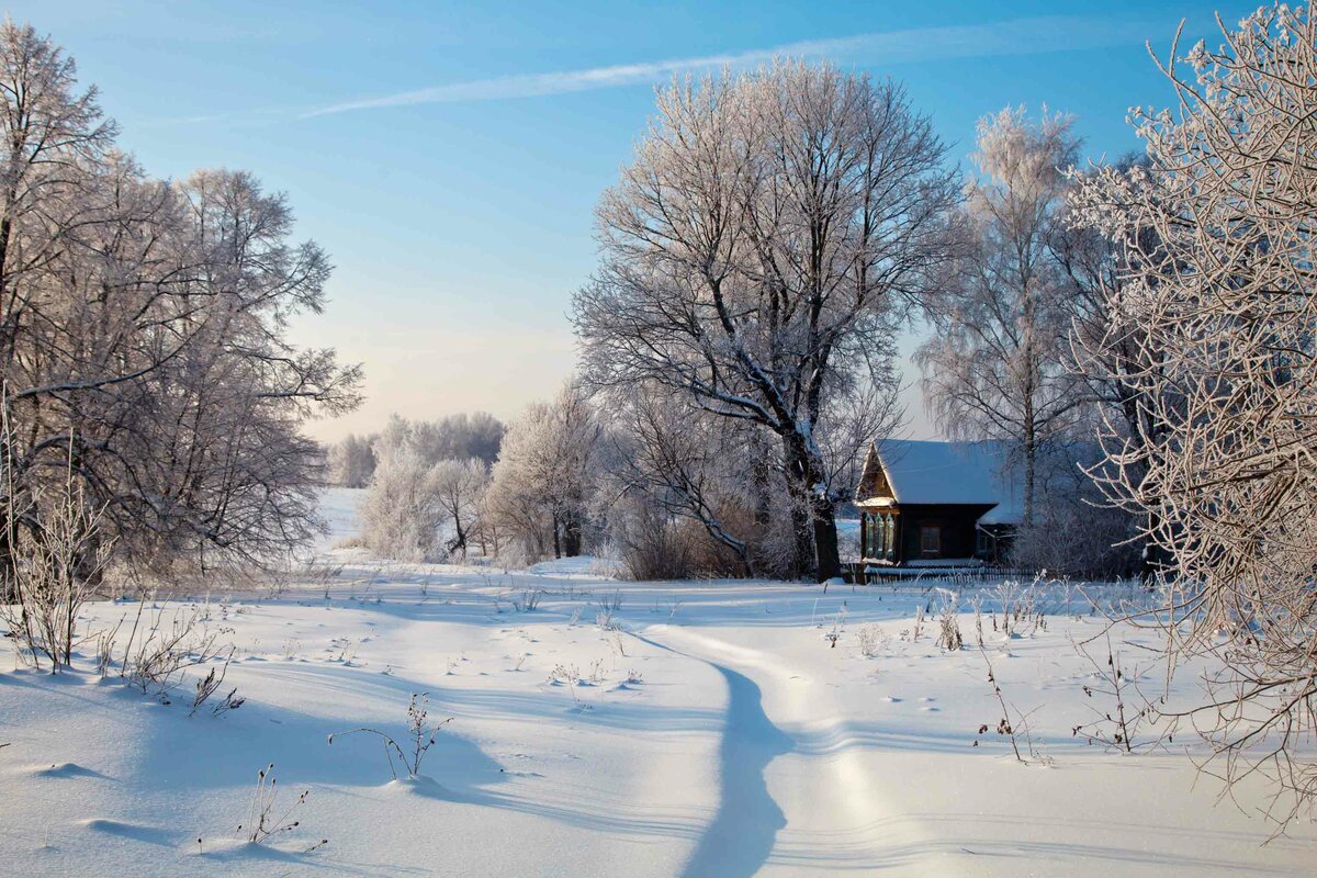 зима в деревне картинки фото