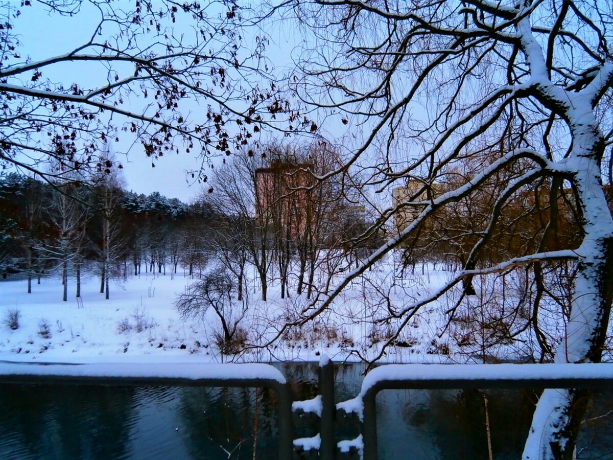 зима в городе фото