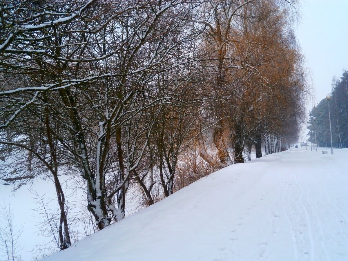 зимнее фото