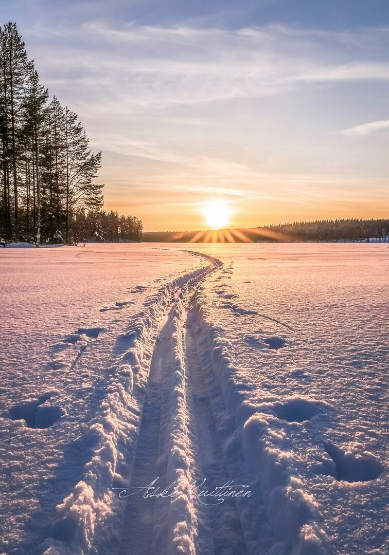 зимнее поле картинки фото