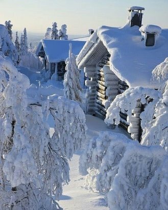 зимние фотографии фото